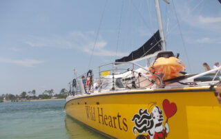 Sail Wild Hearts Catamaran