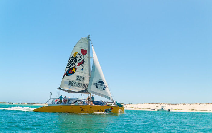 Sail Wild Hearts Sailboat Orange Beach